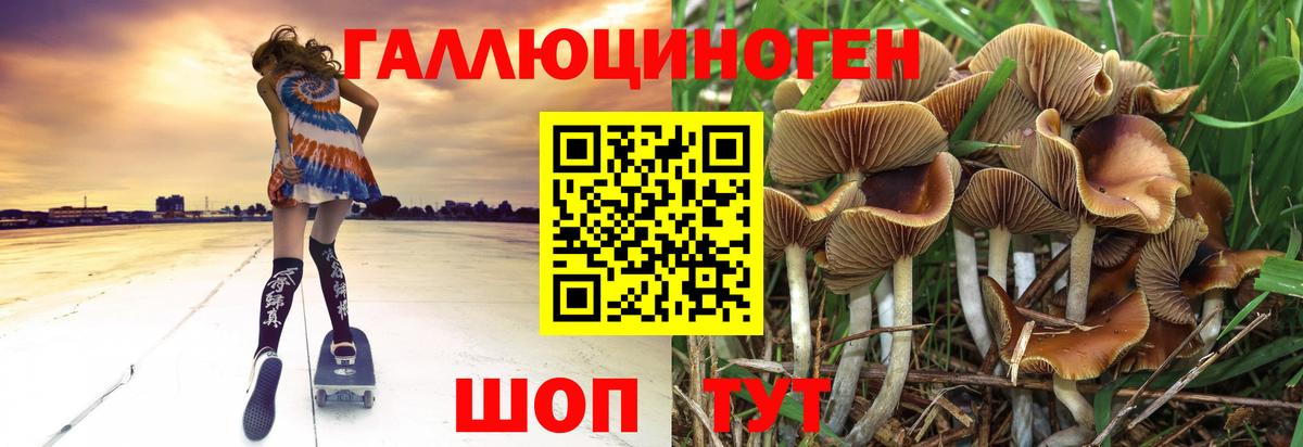 Каннабис  МАРИХУАНА  Вход с VPN  Гашиш  Бердск  Кокаин  Меф кристаллы  Гашиш  NBOMe 